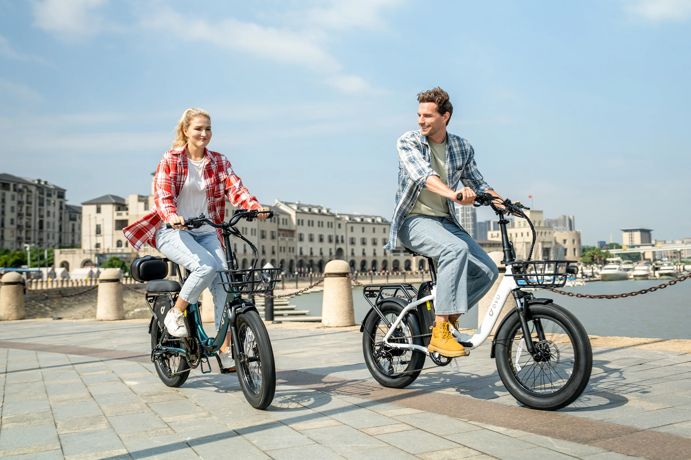 DYU C9 20 Inch Long-Range ebike - Image 13
