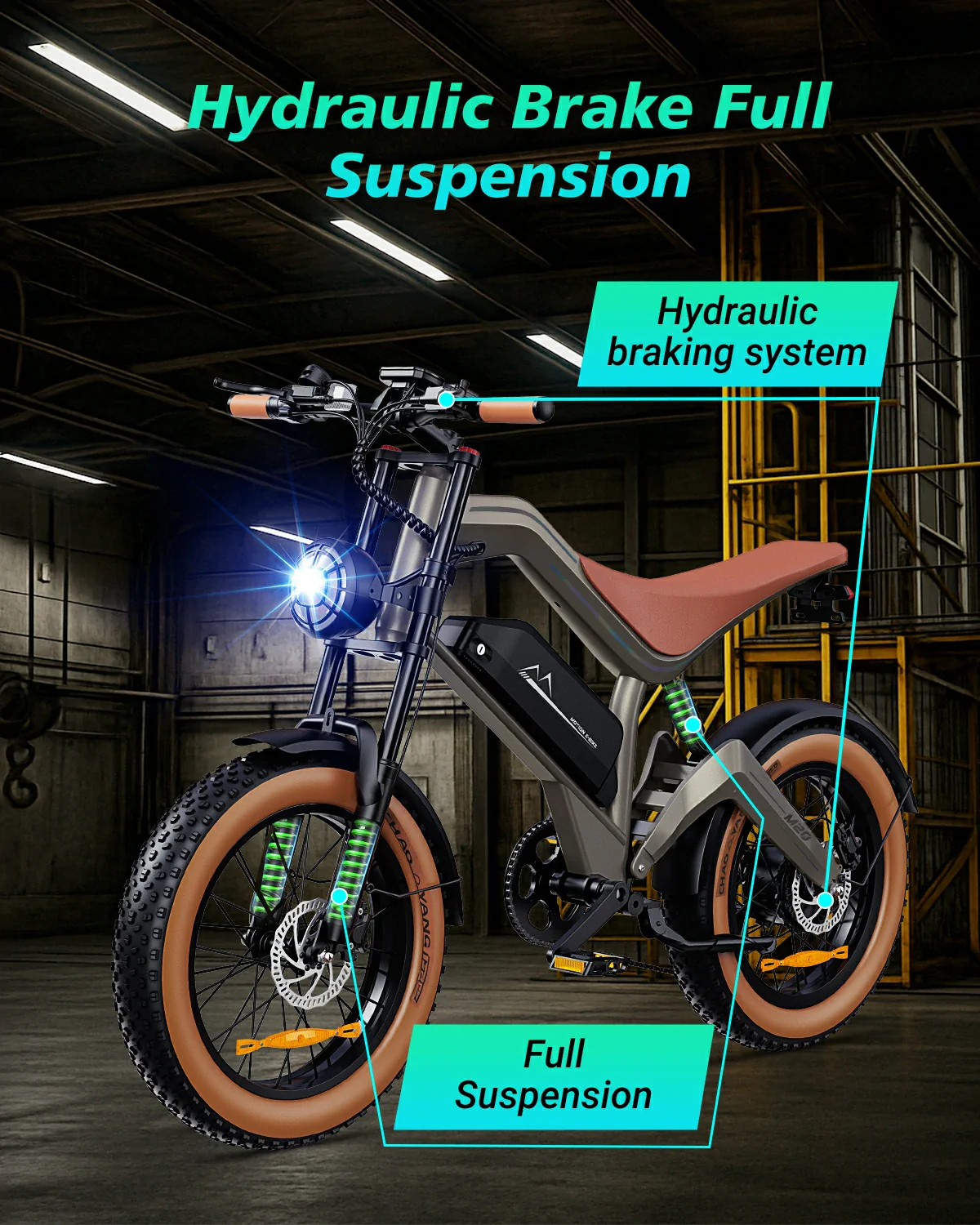 DYU M20 All-Terrain Long-Range Electric Bike - Image 6